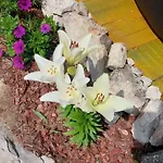 Panorama Vendeghaz Pécsely