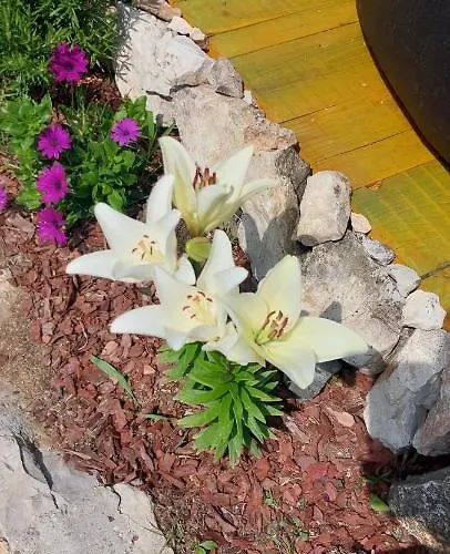 Panorama Vendeghaz Pécsely